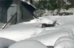 Death toll climbs to seven as Shimla records -3.2 degrees